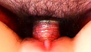 watching a wild fuck session up close