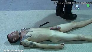 i explore my skinny new sub boy chad in bondage
