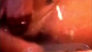 best porn pussy and ass on display!