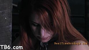 Restrained gal hoisted for hot sucking and fucking.