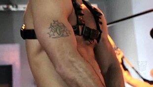 fort troff man vs machine roman todd pierce paris alpha wolfe