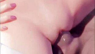 Overwatch Hentai Compilation Highlights