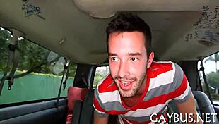 Free gay sex video clips compilation