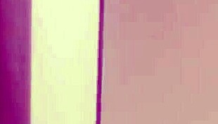 Gym shower cruising with blowjobs and masturbation