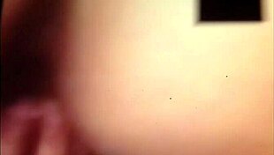 best porn pussy and ass on display!