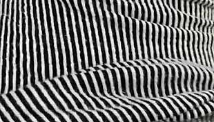 We Got Caught Banging Hard in the Park