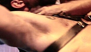 fort troff man vs machine roman todd pierce paris alpha wolfe