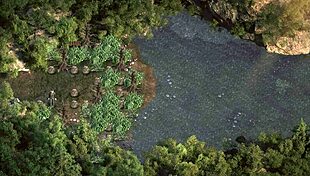 Complete Gameplay of The Genesis Order Part 46