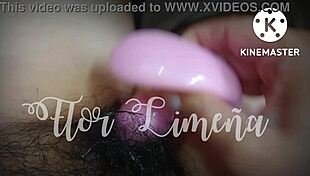 peruvian girl toys her ass at work