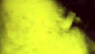 Vintage Erotic Illustration Unveils Hidden Desires in Classic Anime Style