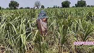 Wife Gets Licked And Fucked With Big Cock In Field