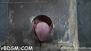 Clamped Sweetheart Anal Hook