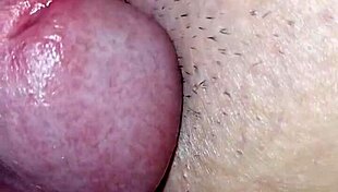 Did you catch that accidental creampie in the hentai anime?