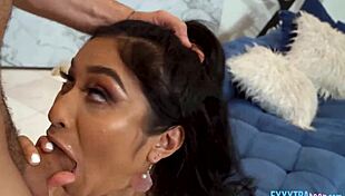 petite teen avery black blows will pounder's big cock in pov