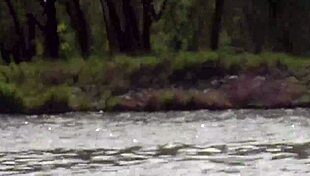 Czech redhead beauty exposes her pussy on the beach.