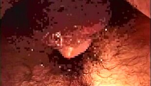 Gay Amateur Videos Compilation Featuring Sucking Blowjob Swallow