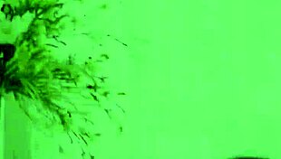 Shimmer me timber, veronica bends over for cock