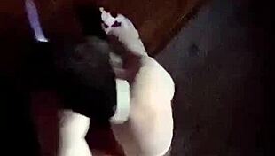 staci on it bunny fun