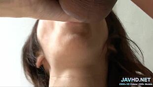 are these juicy japanese boobs in hd?