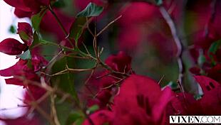 Vixen Takes the Plunge, Lives Out Her Fantasy!