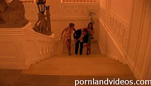 after the party, three horny sluts share a big cock for hard anal