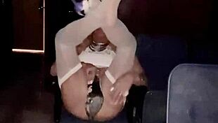 staci on it bunny fun