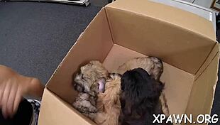 Sex in shop with big rod