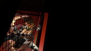 Anime cow girl gets assfucked bareback against the cage.