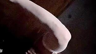 staci on it bunny fun