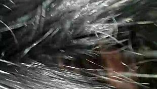 European Italian Interracial Blowjob on November 5, 2016