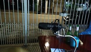 Blowjob to Small Cock Presenter