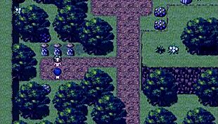 Tanned Girl Natsuki's Forest Night Adventure