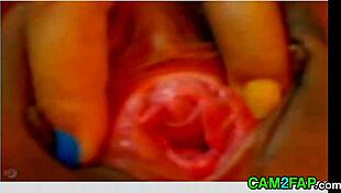 asian girl on webcam fingering her pussy and ass, chatting casually