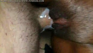 sliding this long dick into her ebony body 😈