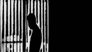 Motel Reedit Captures Animated Hotel Adventures