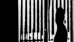 Motel Reedit Captures Animated Hotel Adventures