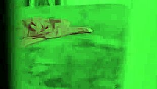 Skinny Stepsister Teasingly Sucks Dick In POV Before Cumshot