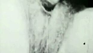 i'm a sexy step mom with secret taboo thoughts in vintage family