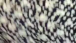 Teen Girl Dancing Reggaeton On Webcam