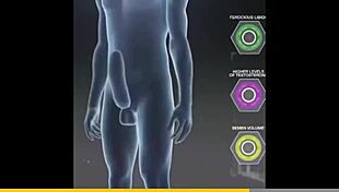 Russian Gay Threesome With Muscular Bodies