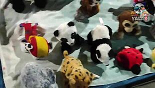 i had fun at the bolivia fair with yalax