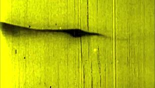 Vintage Erotic Illustration