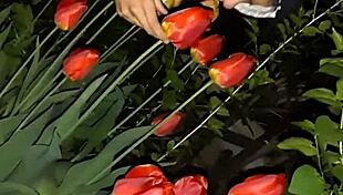 i invited my neighbor to see the flowers, then fucked her mouth 😍