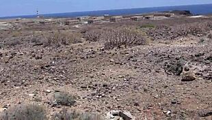 Beautiful Davcina meets a guy on Tinder in Tenerife and gives him a deepthroat blowjob outdoors.