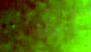 i love that brazilian ass holle so much, it's amazing