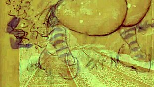 Vintage erotic illustration of antique scenes