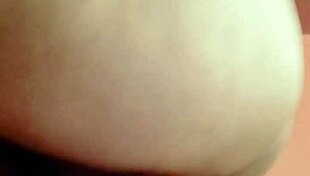 Sundaydogood614 Update 44 C360vid 20240128 163133 Jan 29 2024