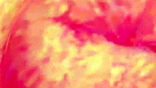 Doa5 Hitomi Poses in Gravure Studio Scene