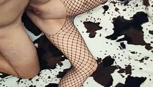milf wife in fishnet lingerie getting anal stretched by big cock