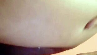 Sundaydogood614 Update 44 C360vid 20240128 163133 Jan 29 2024